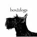 box2dogs аватар отзыв о сервисном центре